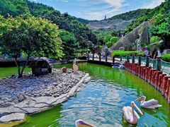 景点-大连老虎滩海洋公园