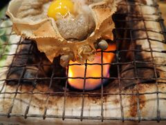 -鰓呼吸 石垣島 美崎町店