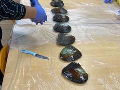 -斯坦星球AI编程·机器人科创·科学实验·信奥·思维·STEM·乐高·竞赛考级(长宁虹桥大融城荟聚中心)