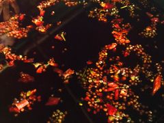 -岗上渣渣老火锅(两路口店)