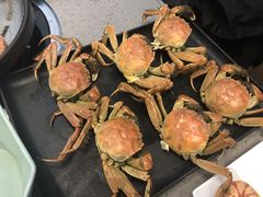 -乔哥铭洋海鲜自助(皇城恒隆广场店)