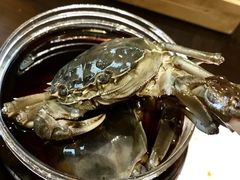 -黄记大闸蟹专卖店·活蟹·醉蟹