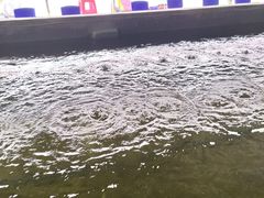 -会江钓鱼钓虾烧烤场