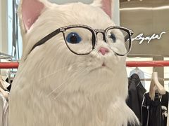 -柏威年大连购物中心