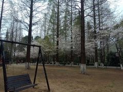 -宝岩生态观光园