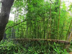 -潜龙渠公园