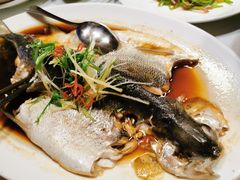 -真爱中国餐馆·年华店(朱雀大街店)