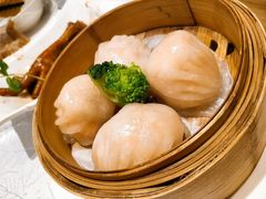 -老广新意(奥园店)