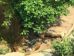 -大连森林动物园