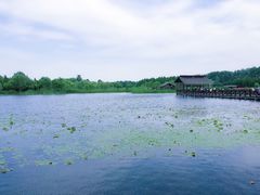 -溱湖国家湿地公园