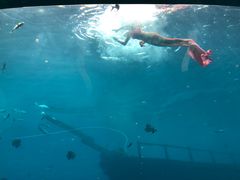 -瑞德姆美人鱼海底演艺主题餐厅(亚龙湾店)
