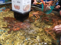 -盒马鲜生(皇庭广场店)