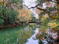 -溪口-滕头旅游景区