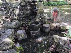 -海口火山口国家地质公园