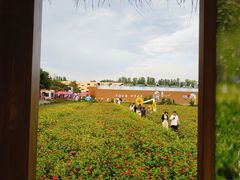 -北国之春国宴(乌兰察布店)