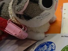 -国家会展中心