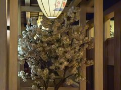 -碧水豪园·足浴·SPA·汗蒸·那须汤泉(中山东路店)