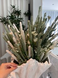 -姜美堂·蒸姜除湿の纤体美颜馆