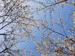 -上海财经大学(国定路校区)