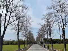 -嘉北郊野公园