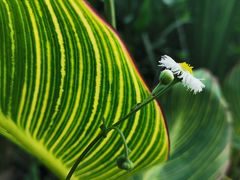 -昆山城市生态森林公园