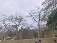 -东部华侨城