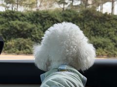 -乐行自行车运动乐园