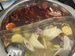 -金鼎雪山牦牛杂火锅(理县总店)