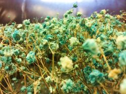 -Pink Gold Wedding·婚礼设计