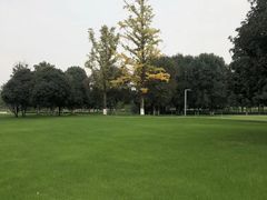 -重庆市江北嘴中央商务区中央公园