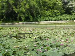 -洛阳市隋唐城遗址植物园