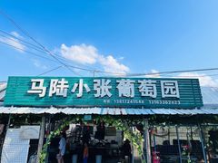 -马陆小张葡萄园农家乐