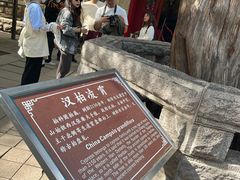 -青岛崂山太清宫