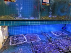 -江南村海鲜馆(洞头店)