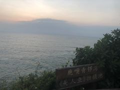 -杨梅坑