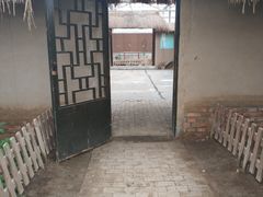 -上海都市菜园
