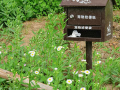 -马家湾湿地公园