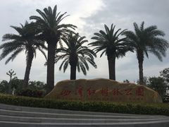 -宝安西湾红树林湿地公园