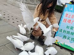 -天津妈祖文化园