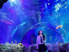 -沈阳海洋探索中心