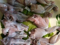 活杀牛蛙-鲜货俚鲜火锅(青果路店)