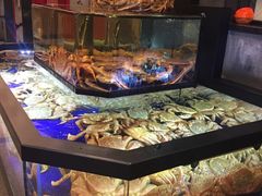 大堂-蟹道乐(道顿堀本店)