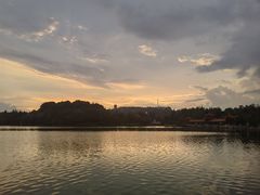 -洛龙公园
