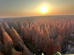 -黄海国家森林公园