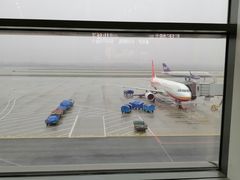 -麦当劳(禄口机场T2航站楼)