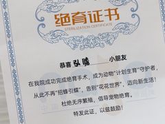 -纳吉亚猫专科动物医院(康都外科中心)