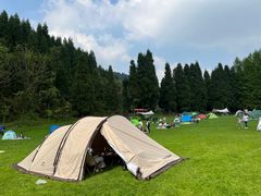 -武陵山森林公园