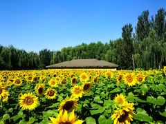 -长白岛森林公园