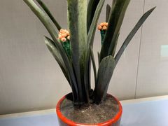 -故宫钟表馆