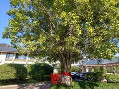 -福建鲤鱼洲酒店